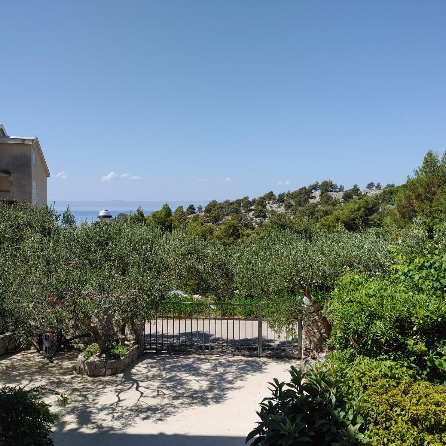Apartments Villa Cizmic Baška Voda Zewnętrze zdjęcie