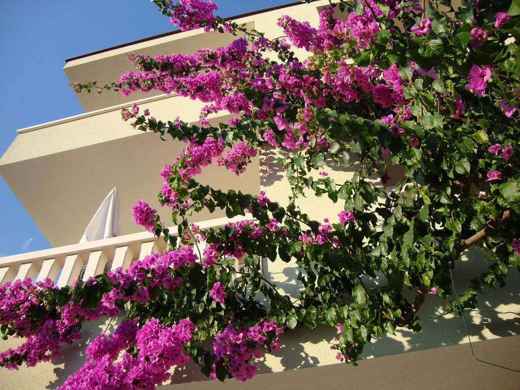 Apartments Villa Cizmic Baška Voda Zewnętrze zdjęcie