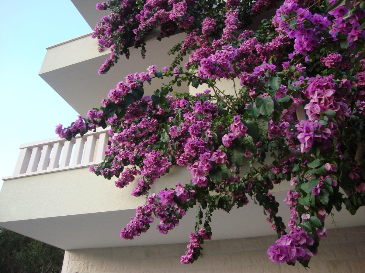 Apartments Villa Cizmic Baška Voda Zewnętrze zdjęcie